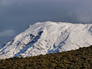 Kilimanjaro Northern Circuit