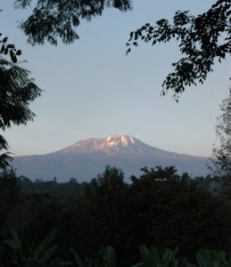 Kilimanjaro Rongai Route