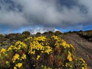 Marangu Route Photo