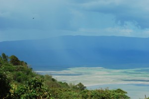 Ngorongoro Crater Floor