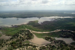 Selous Game Reserve Tanzania