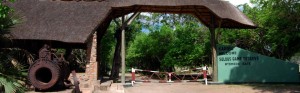 Mtemere_Gate,_Selous_Game_Reserve-1