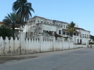 Stonetown and dolphin safari