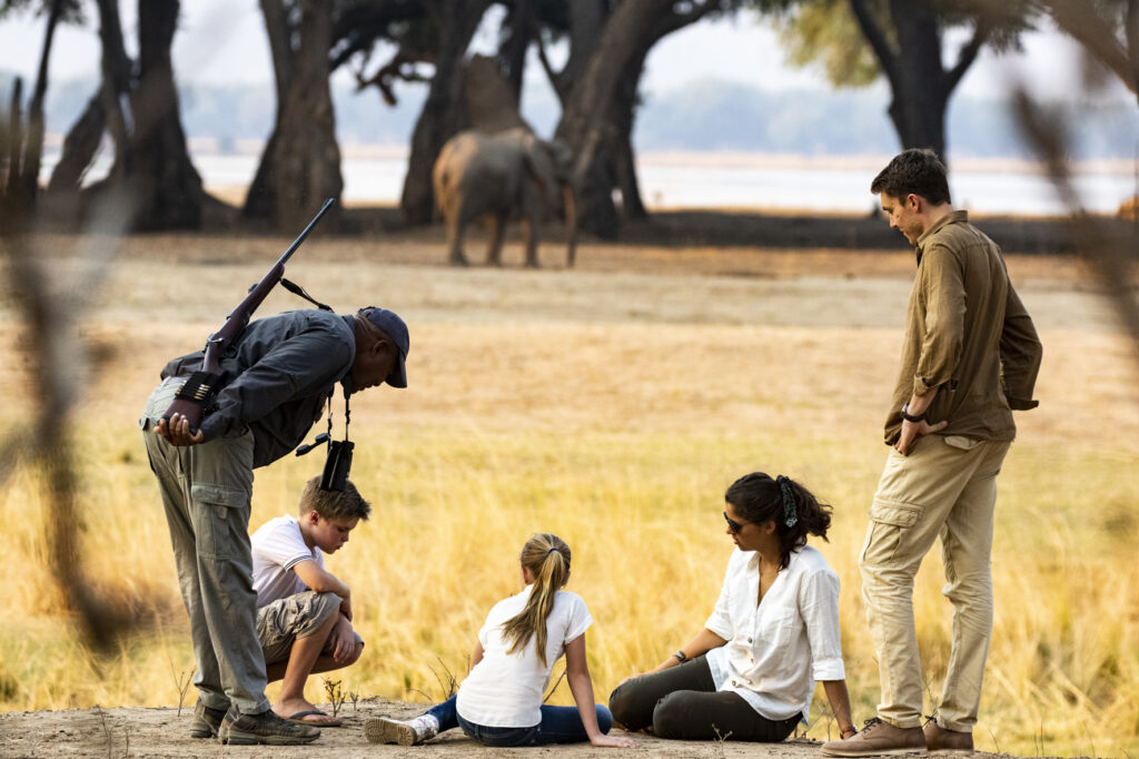 Travel With Purpose: Safaris That Empower Orphaned Children