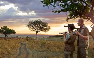 01-Banner-Couple-on-safari-holding-binoculars-and-standing-next-to-tree-overlooking-road-and-sunset