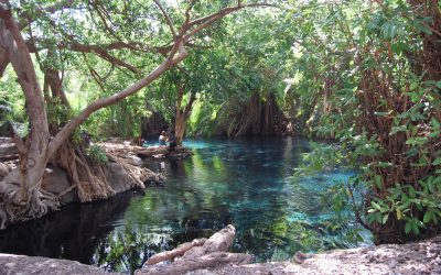 Les-sources-deau-chaudes-de-Rundugai-4-1