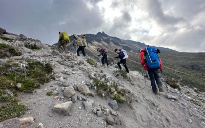 PHOTO-2024-02-01-17-10-39-1024x768