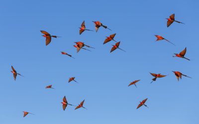 shutterstock_1902921499